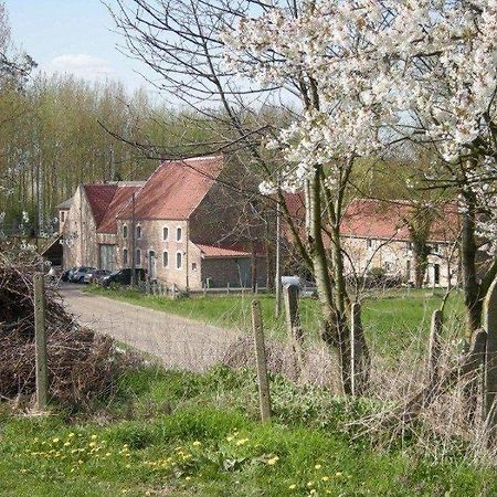 De Verborgen Parel B&B Borgloon Exteriör bild