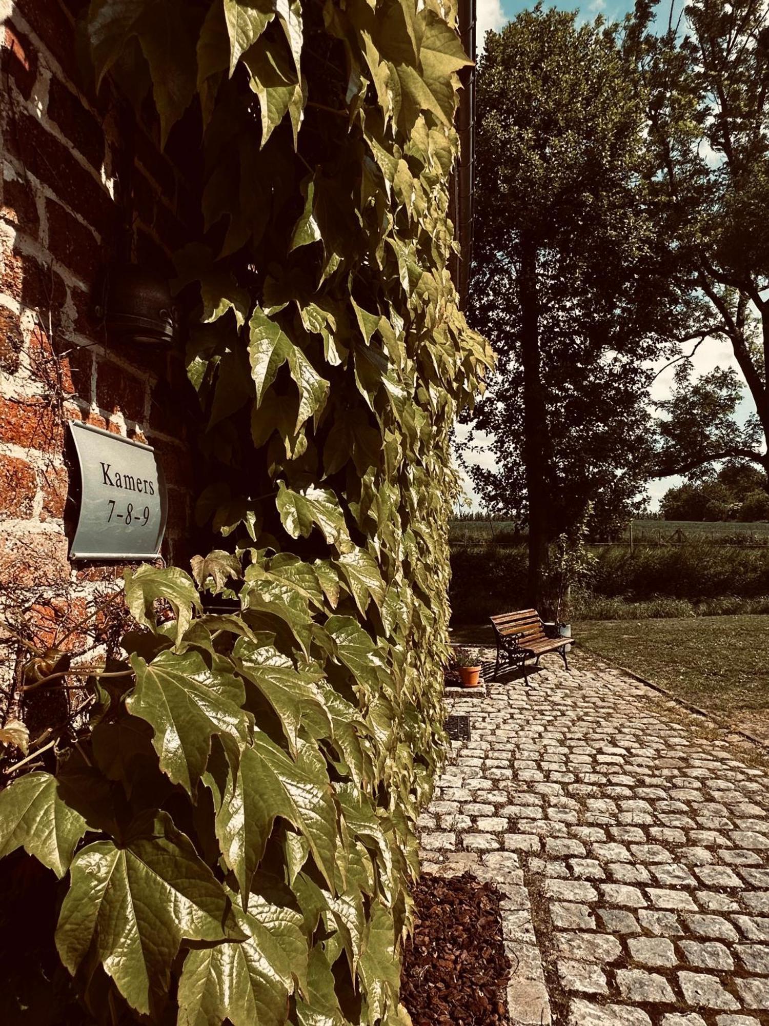 De Verborgen Parel B&B Borgloon Exteriör bild