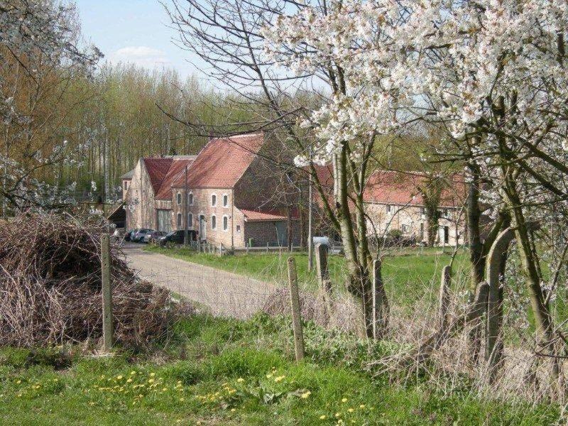 De Verborgen Parel B&B Borgloon Exteriör bild