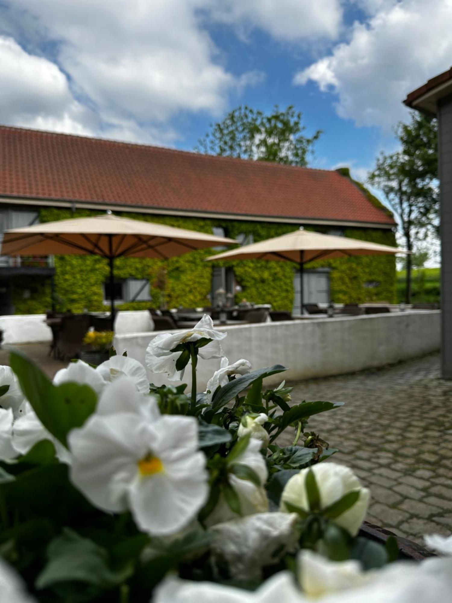 De Verborgen Parel B&B Borgloon Exteriör bild