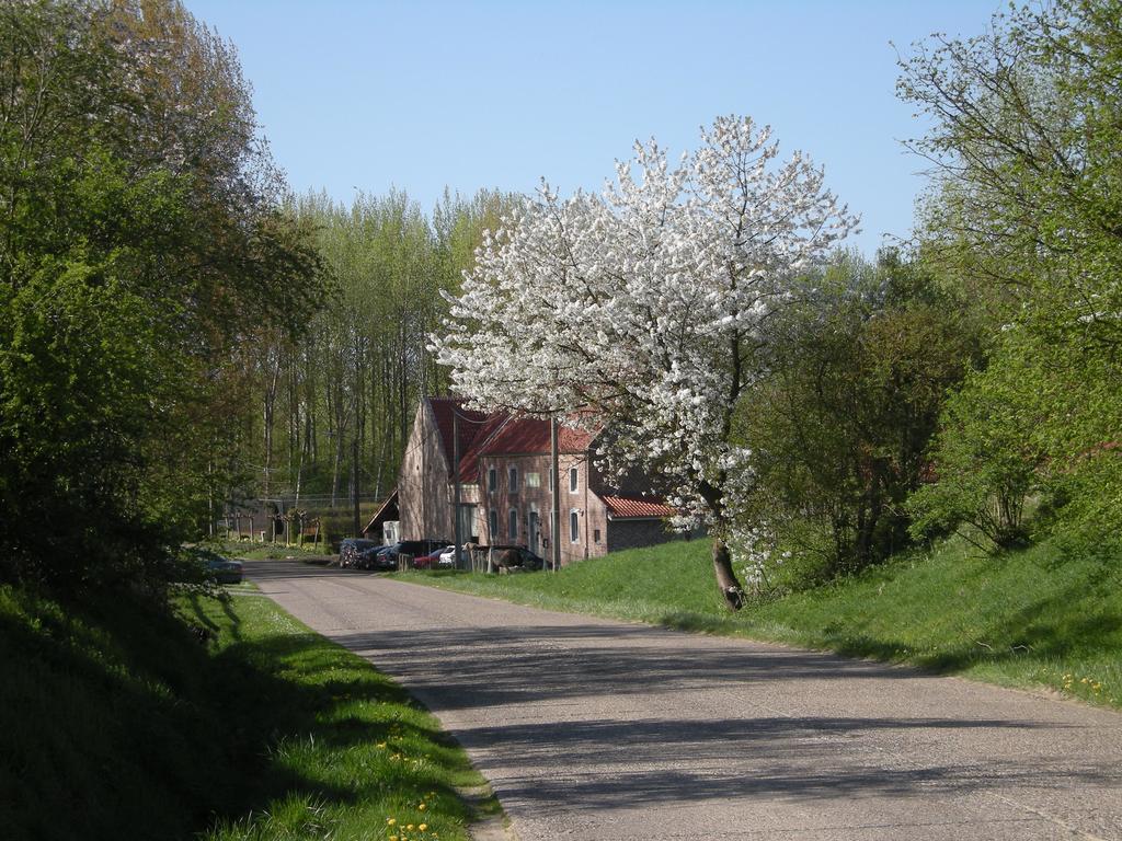 De Verborgen Parel B&B Borgloon Exteriör bild